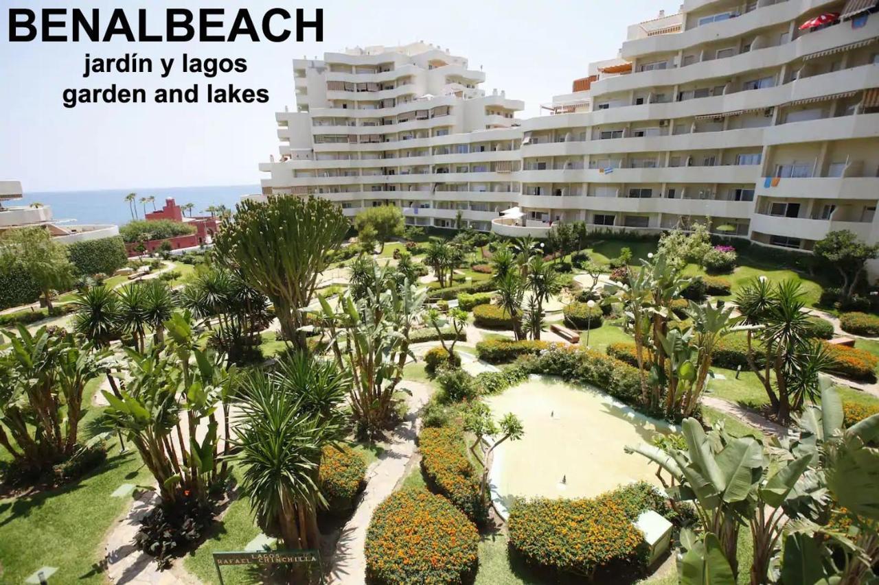 Estudio Benalbeach Primera Linea De Playa Appartement *